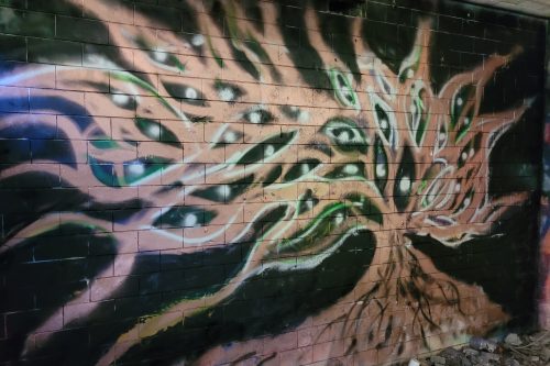 A spray painted abstract image of a tree which has branches composed of many eye-like or fish-like shapes. Bronze, silver and green lines of spray on a black wall, like a growing tree and root structure.